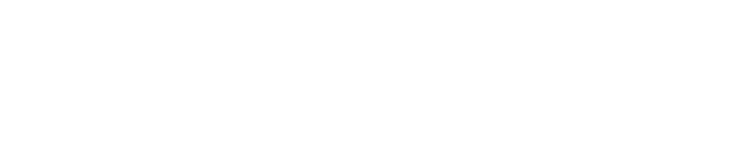 鹿児島市長選挙 鹿児島市議会議員補欠選挙